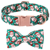 Lionet Paws Christmas dog collar in winter green offers festive style for large dogs