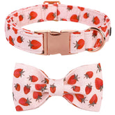 Lionet Paws cotton XL bowtie collar showing comfortable fit for large dogs