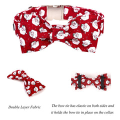 Lionet Paws detachable bowtie attached to collar for versatile styling