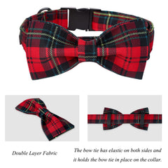 Lionet Paws collar with metal buckle close-up for secure leashing