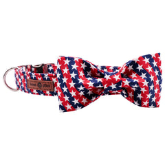 Lionet Paws collar buckle and D-rings show durability during daily wear.