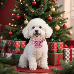 Lionet Paws pink collar bow detail demonstrates versatile styling with detachable bow for other collars.