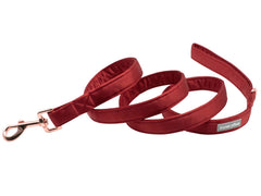 Lionet Paws silk red leash with matching collar for stylish outfits during parties