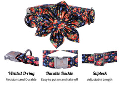 Lionheart Glory adjustable-medium-dog-collar: customizable fit for comfort.