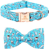 Lionheart glory blue bow shark print collar for daily wear