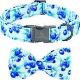 Lionheart Glory blueberries-print dog collar for daily wear and photo-worthy moments.