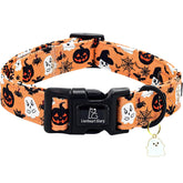 Collar Lionheart glory con calabazas y fantasmas para fiesta otoñal.