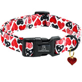 Lionheart Glory collar para perro San Valentín con corazones rojos, ideal para paseos.