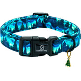 Collar Lionheart Glory verde ajustable para perros grandes, cómodo y seguro para paseos.