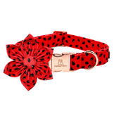 Lionheart glory collar veraniego con flor, añade estilo para paseos diarios.