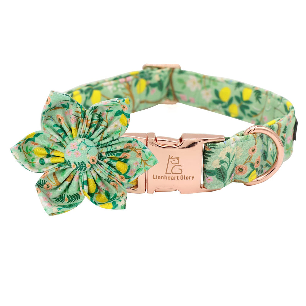 Lionheart Glory cute lemon floral dog collar medium for daily walks