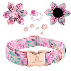 Lionheart Glory flower on pink collar shows removable bloom flair