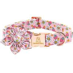 Lionheart Glory pink flower dog collar front view for cute daily wear