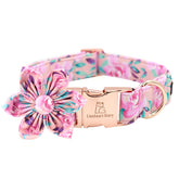 Lionheart Glory dog collar pink flower detail for stylish outings