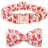 Lionheart Glory popsicle print dog collar close-up with handmade bow for summer style.