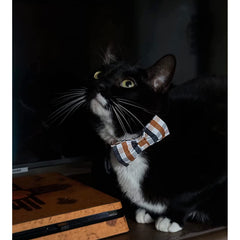Lionheart Glory size guide helps select the right collar for small to large dogs.