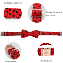 Lionheart Glory summer-dog-outfit adds summer-ready style for photos and strolls.
