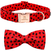Lionheart Glory watermelon-collar closeup shows soft cotton comfort for everyday wear.