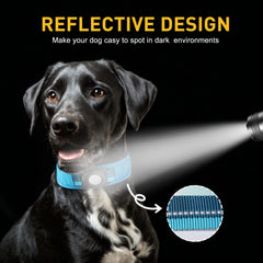 LIOPARD AirTag collar with breathable mesh padding for comfort on long walks