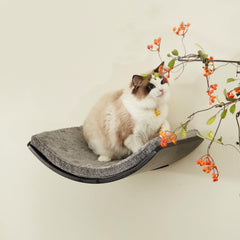LIORCE cat-shelf walnut-finish blends with decor while supporting multiple cats