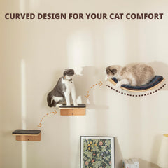 LIORCE two-step wall perch mounted on wall shows space-saving vertical play area.