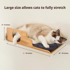 LIORCE comfort pad Velcro-secured and machine washable for easy cleaning.