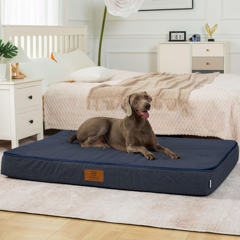 LIORCE orthopedic memory foam inner foam distributes weight for comfort