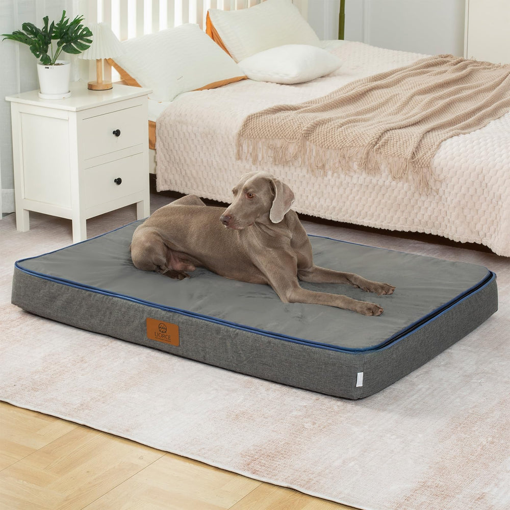 LIORCE orthopedic memory foam bed top view showing edge support.