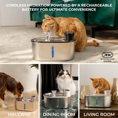 LIPPUP cordless operation demonstrates battery-powered mobility for pet hydration