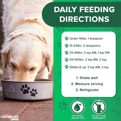 LIQUIDHEALTH K9 Glucosamine dog enjoying active play with joint support.