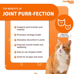 LIQUIDHEALTH glucosamine chondroitin beef gravy flavor for easy dosing in cats.