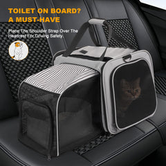 LitaiL cat carrier panoramic window offers visibility and natural light for a calmer trip