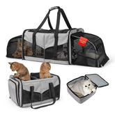 LitaiL cat travel carrier left-compartment setup supports comfortable two-cat journeys