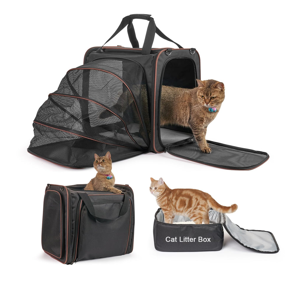 LitaiL cat travel carrier with litter box, open-top view for easy, on-the-go access.