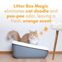 Litter Box Magic deodorizer-jar-closeup highlights gel-based odor absorption.
