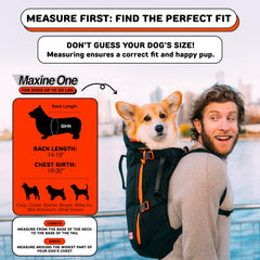 Little Chonk Maxine One back view highlights the durable frame for dependable travel