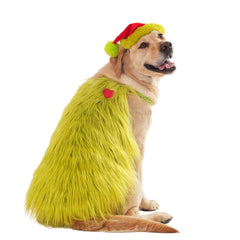 Littledropet furry dog green monster costume front view for festive photos