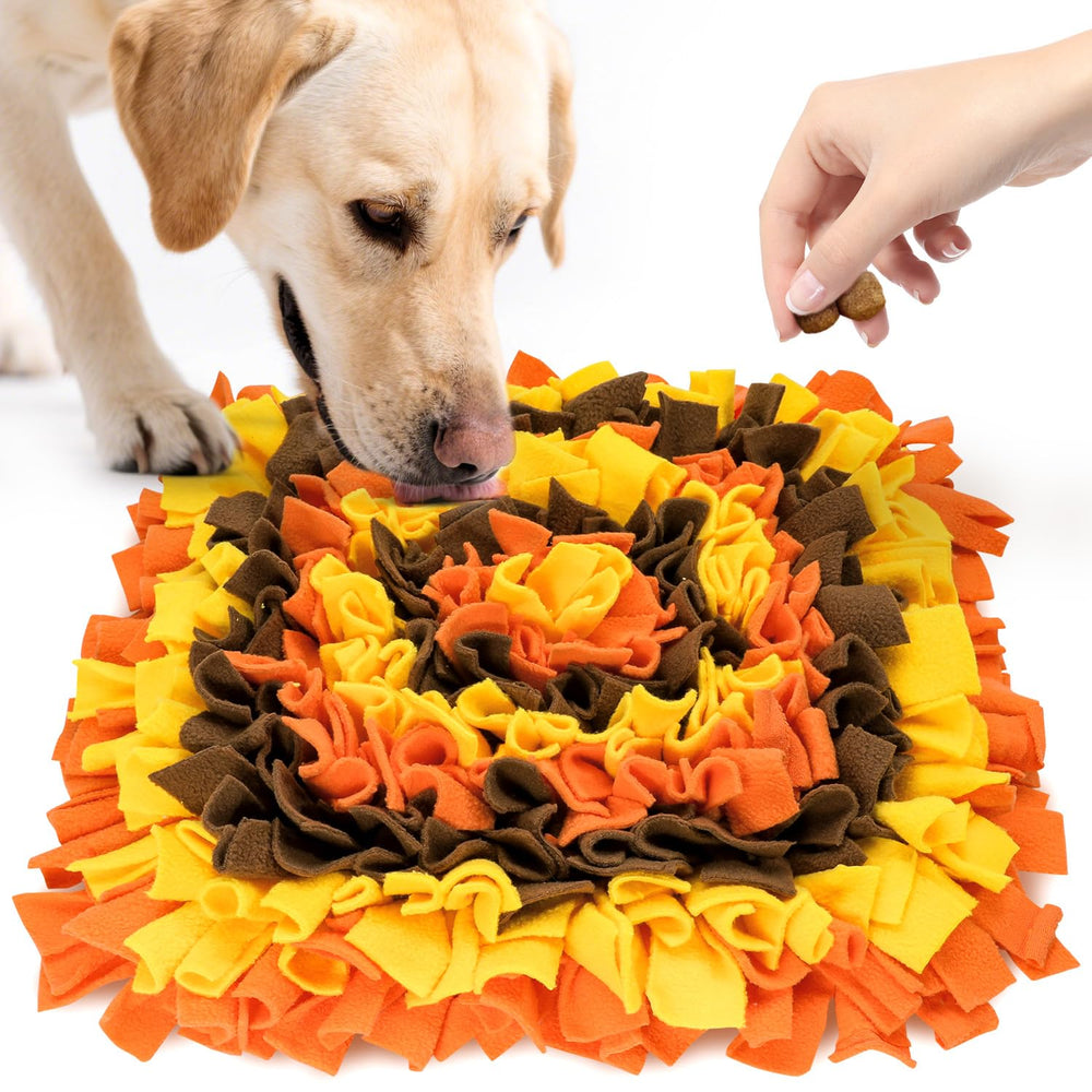 LIVEKEY Pet Snuffle Mat front view foraging stimulation and slow feeding benefits.