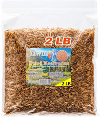 LIWII Dried Mealworms 2lbs bag closeup showing plump high-protein treats for poultry.