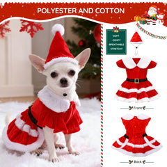 LLUAII dog Christmas dress and hat set for charming party looks
