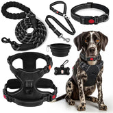Lobeve No-Pull Harness on dog offers comfortable control for smoother walks