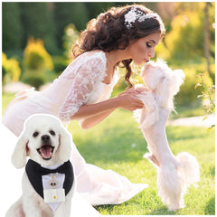 Locmeo PU leather dog leash offers smooth handling for festive walks and posing.
