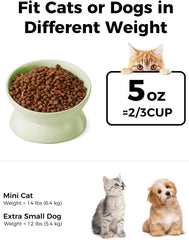 LoeJan tilted 5-inch cat bowl centers food for easier eating.