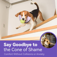 Loesuona donut collar waterproof fabric—wipe-clean for quick, sanitary recovery.