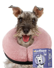 Loflaze collar donut para perro inflable mediano, libertad de movimiento durante recuperación.