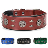 LOIIHEII premium leather dog collar close-up, giant-breed durability for daily walks.