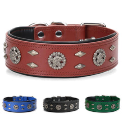LOIIHEII premium leather dog collar close-up, giant-breed durability for daily walks.