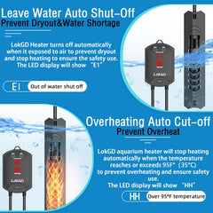 Lokgd dual protection illustration highlights safe operation