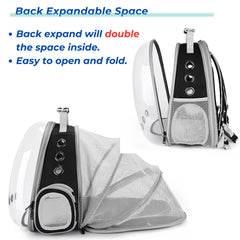 Lollimeow airline-approved travel backpack ready for flights and adventures