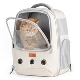 LOLLIMEOW bubble window backpack offers your pet a scenic view for an enjoyable ride